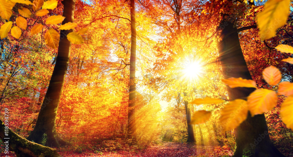 Herbst